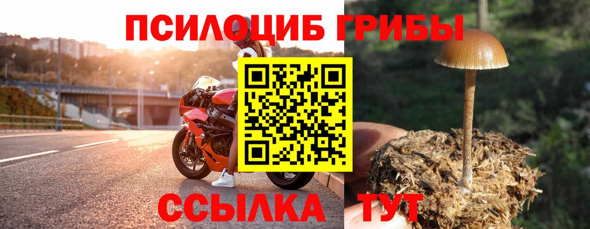 Псилоцибиновые грибы мицелий  Вход с VPN  Старая Купавна 