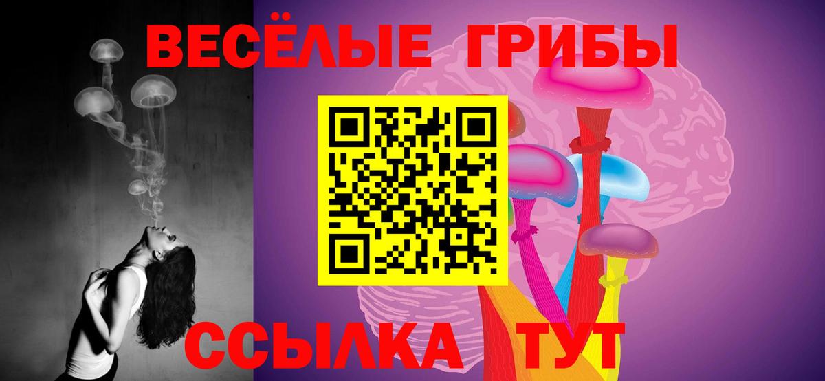 Галлюциногенные грибы Psilocybine cubensis Старая Купавна